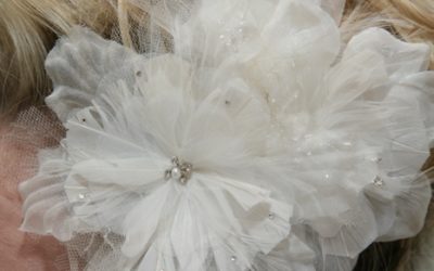 Dove
